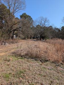 2541 Haynesville Hwy, Parkers Chapel, Arkansas 71730, USA