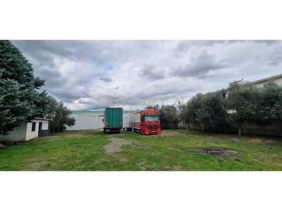 Kamez Qender, Tirana, Albania