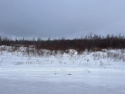 ACREAGE PORTAGE ROAD, Tracadie Cross, Prince Edward Island C0A 1T0, Canada