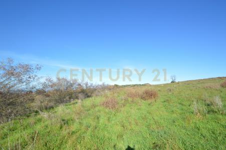 Strada Provinciale Montiano, Grosseto, Toscana 58100, إيطاليا 