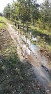 Cadereyta Jiménez, ولاية نويفو ليون 67454, المكسيك