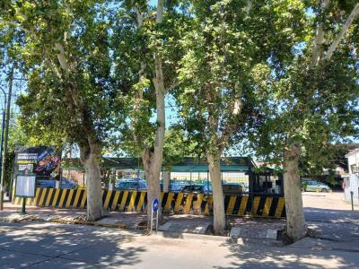 Godoy Cruz, メンドサ 5501, アルゼンチン