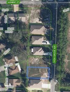 10469 High Grove Avenue, Lake Placid, 佛羅里達州 33852, 美國