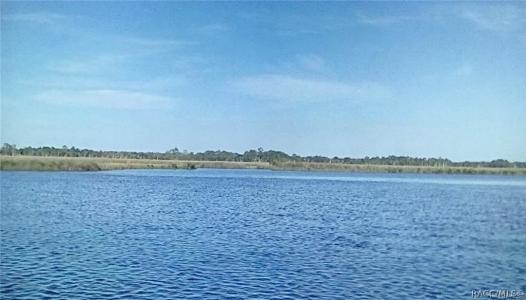 11946 W Bald Eagle Court, Crystal River, Florida 34429, USA