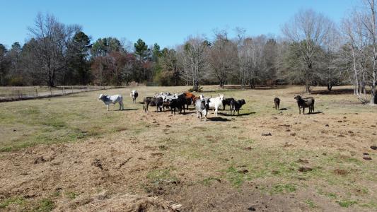 605 County Road 2100, Quitman, Texas 775783, USA