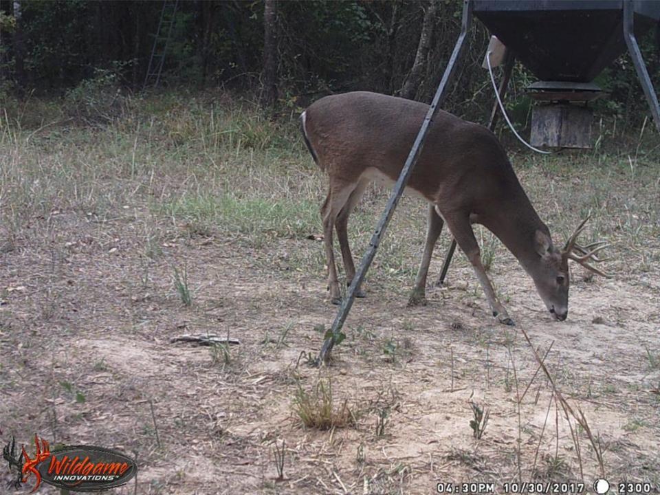 139 NW County Road , 1061, Talco, Texas 75487, États-Unis