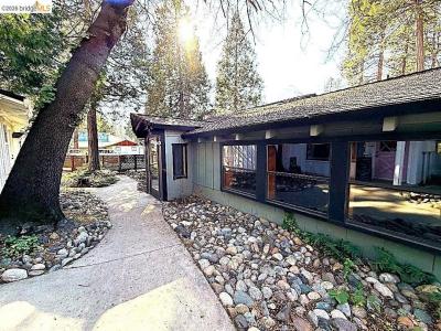 23036 Joaquin Gully Rd, Twain Harte, Californie 95383, États-Unis