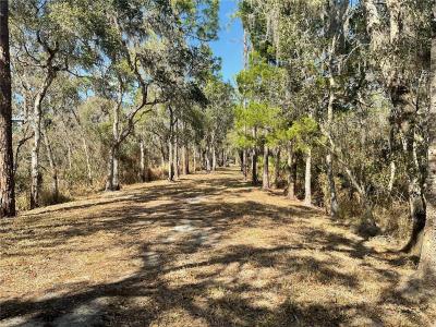 4051-3803 DIXIANA DRIVE, Bowling Green, Florida 33834, USA