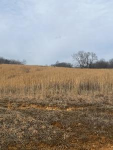 0 Hidden River Road Lot 90, Rock Island, Tennessee 38581, USA