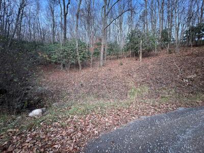 Lot 65 Cove Creek Road, Tazewell, Virginia 24651, USA