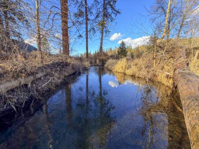 32X Aladdin Rd, Colville, Washington 99114, USA