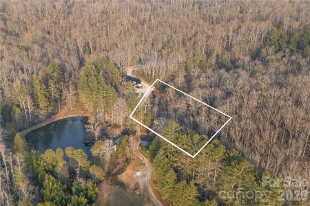 0000 Red Eft Way, Horse Shoe, NC 28742, USA