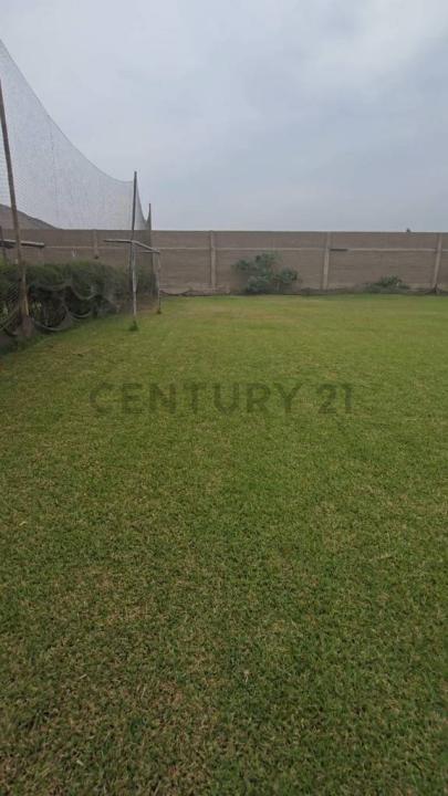 El Naranjo Ubic. Rur. Valle Lurín / Sector Rinconada de Puruhuay , Lima, Lima 00001, بيرو