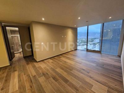 Santa Catarina, Nuevo León 66197, Mexique