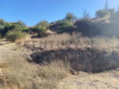 Talagante, Región Metropolitana De Santiago 00001, Chile