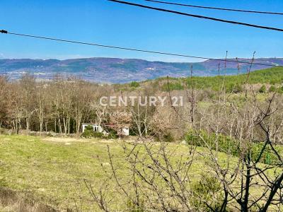 Motovun, Motovun, Istarska Županija 52424, Croatia