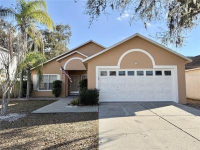 10233 Allenwood Drive, Riverview, Florida 33569, USA