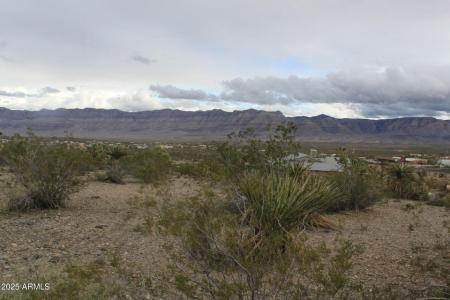 1765 W Fortification Dr, Meadview, Arizona 86444, USA