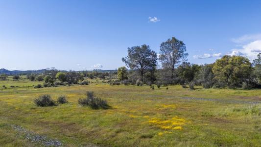 Chinese Camp, 加利福尼亚州 95327, 美国