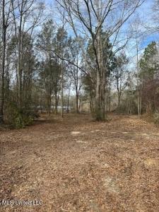 Ms 53 Lot 3, Gulfport, ميسيسيبي 39503, الولايات المتحدة