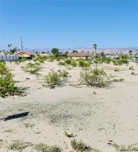 0 Lupine, 29 Palms, Califórnia 92277, Estados Unidos