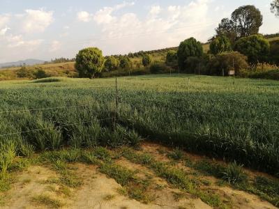 Barberton, Mpumalanga, Sudáfrica