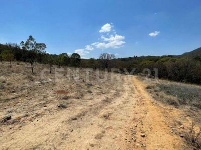 Cerca de Bosques del Pio XII, Nevería SN,, Huimilpan, Querétaro 76950, Mexico