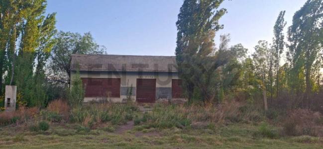 San Rafael, Mendoza 5600, Argentine