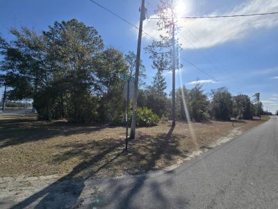 TBD NE 60th St & 101st Ave, Bronson, Florida 32621, USA