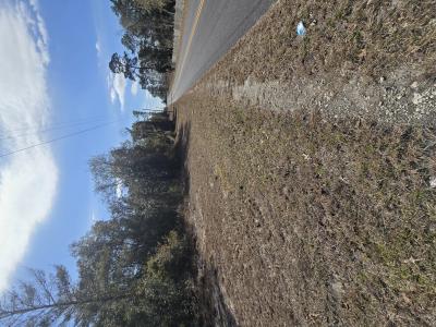 NE 60th St, Bronson, فلوريدا 32621, الولايات المتحدة