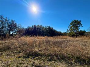 2546 & 2586 W BERESFORD AVENUE, DELAND, Floride 32720, États-Unis