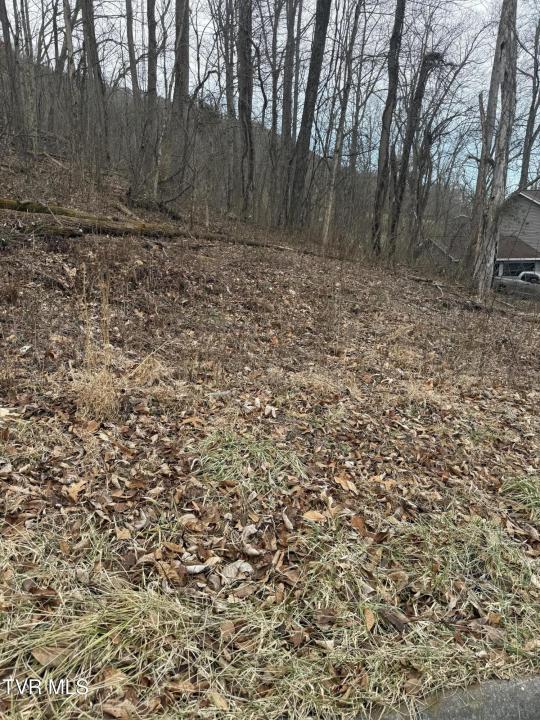 2016 Queensbury Court, Kingsport, تينيسي 37660, الولايات المتحدة