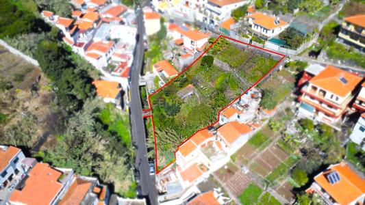 Funchal, Madeira 9020-255, Portugal