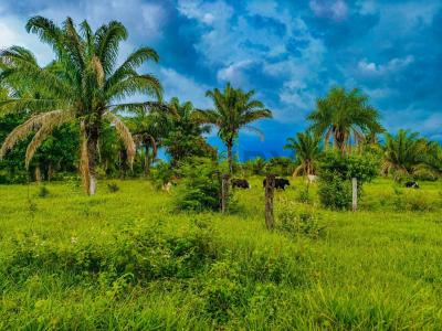 Centre, Santa Cruz 0000, Bolivie