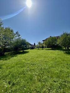 Laufen, Bayern 83410, Germany