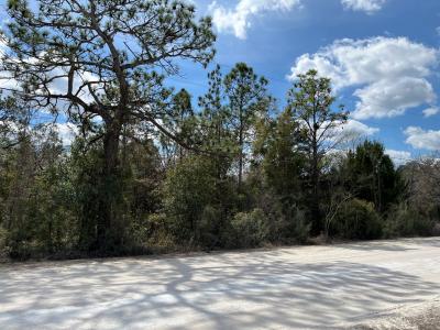 12270 Peaceful Ave., Weeki Wachee, フロリダ 34614, アメリカ合衆国