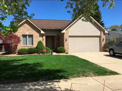 14144 Fairway Street, Livonia, Michigan 48154, USA