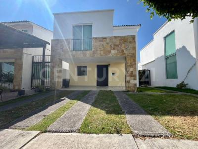 Magenta 216,, San Andrés Cholula, Puebla 72830, Mexico