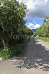 Santiago, Nuevo León 67303, México