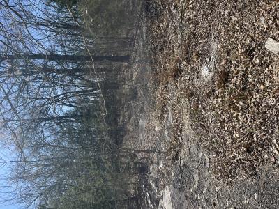 00 CR 3605, Quinlan, Texas 75474, Stati Uniti