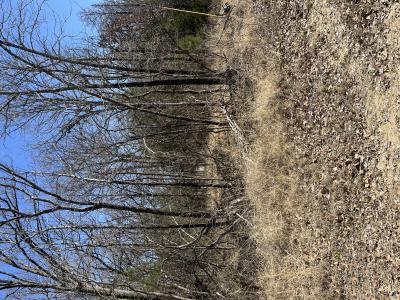 0000 CR 3605, Quinlan, Texas 75474, Stati Uniti