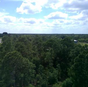 0 NE 189th Lane Lot 19, Citra, Florida 32113, USA