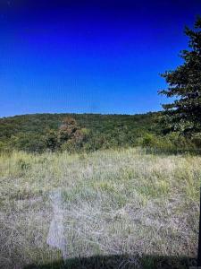 0 Spears, Greenbrier, Arkansas 72058, USA