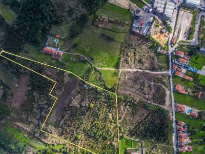 Coimbra, Coimbra 3020-832, Portugal