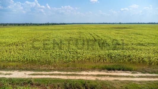 Ñuflo De Chávez, Santa Cruz 591, Bolivie