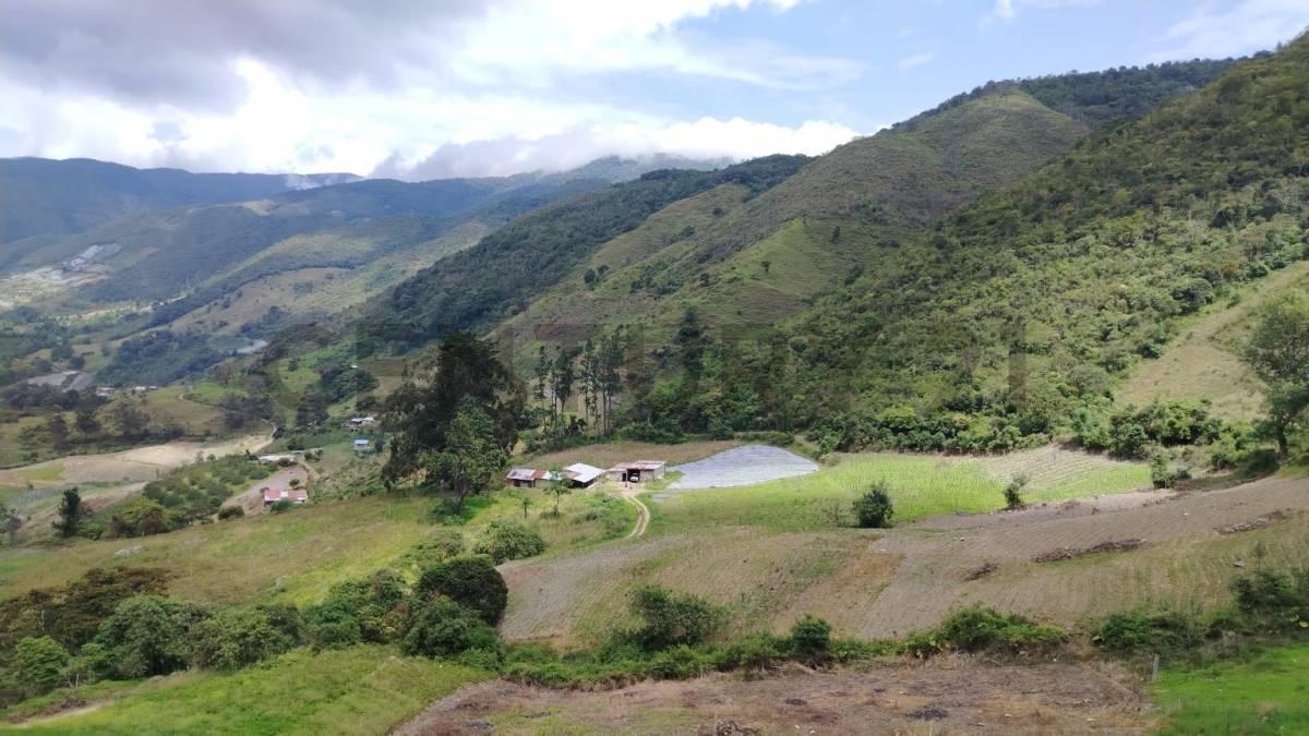 bramon 2, Junín, Táchira 5001, Venezuela