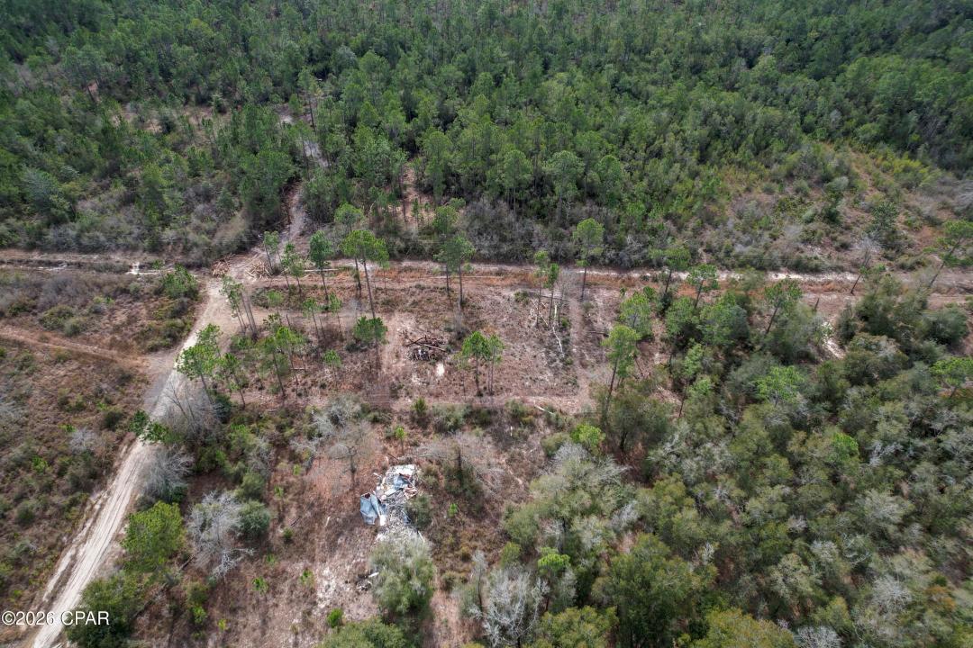 21101 Joann Lane, Fontana, Florida 32438, Stati Uniti