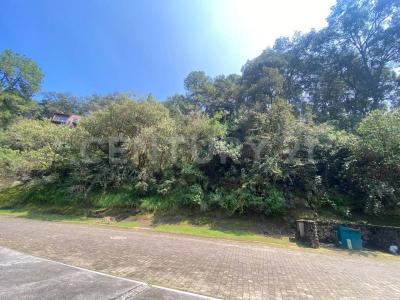 Paseo de los Eucaliptos 4 lote,, 賴爾馬, 墨西哥州 52005, 墨西哥