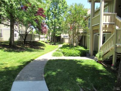 657 Cherry Ave, Sonoma, Californie 95476, États-Unis