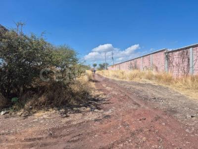Luis Gonzalez Obregon Circ. Cron #0,, La Piedad, Michoacán 59400, México